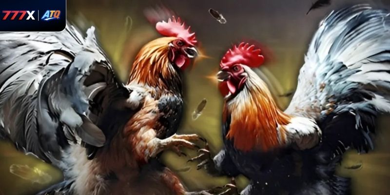 Cộng đồng người chơi lớn mạnh